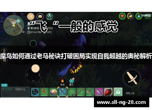 魔鸟如何通过老马秘诀打破困局实现自我超越的奥秘解析 魔鸟如何通过老马秘诀打破困局实现自我超越的奥秘解析