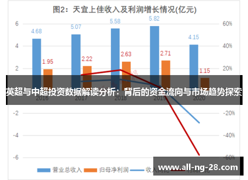 英超与中超投资数据解读分析:背后的资金流向与市场趋势探索 英超与中超投资数据解读分析:背后的资金流向与市场趋势探索