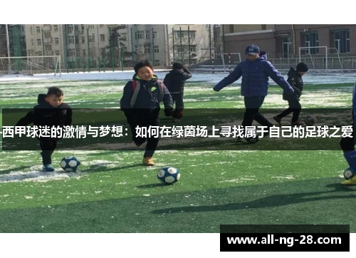 西甲球迷的激情与梦想：如何在绿茵场上寻找属于自己的足球之爱