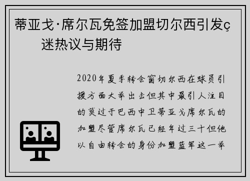 蒂亚戈·席尔瓦免签加盟切尔西引发球迷热议与期待